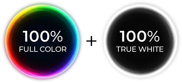 2-R-100 Percent Full Color + 100 Percent True White Light.jpg