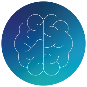 Strong IP Portfolio Icon