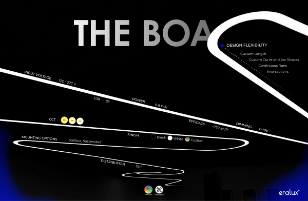 BOA_Poster-eralux.jpg