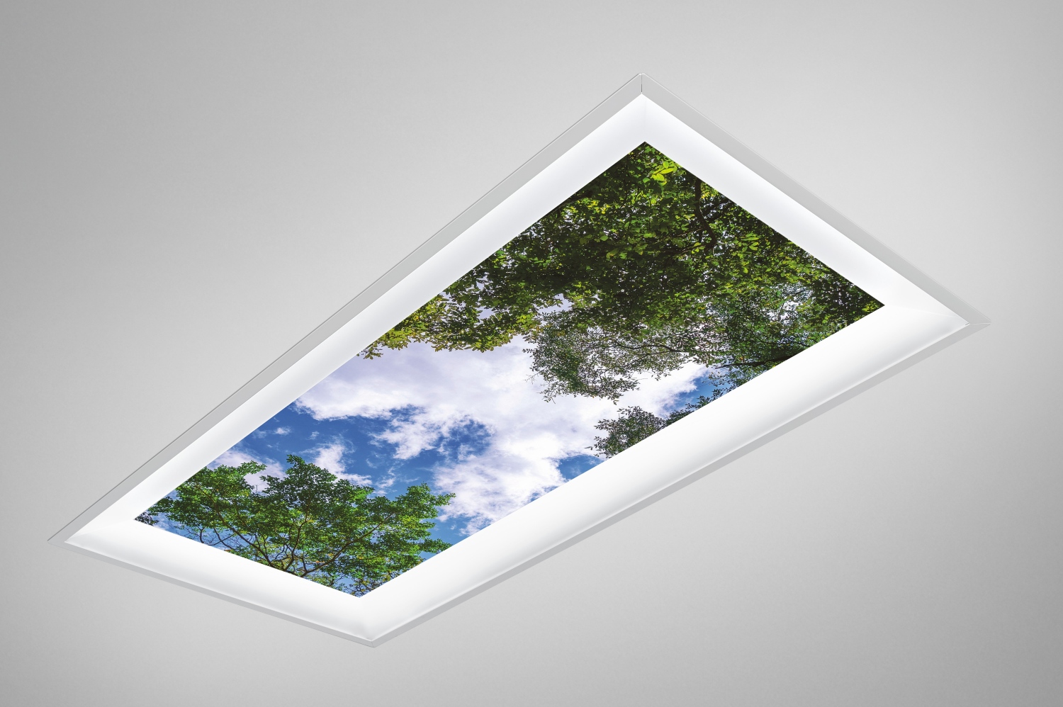 CM1946 Serenity_Trees_Clouds-1500.jpg