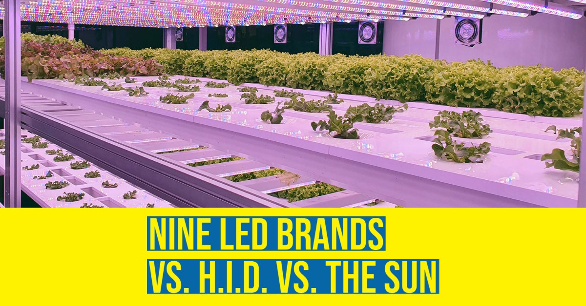 2021_10_Horticultural_LED_HID_SUN_high_intensity_discharge_performance.jpg