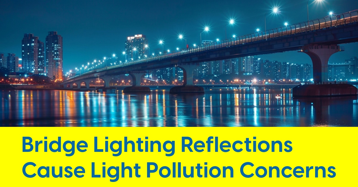 2024 05 light pollution bridge reflection water.jpg
