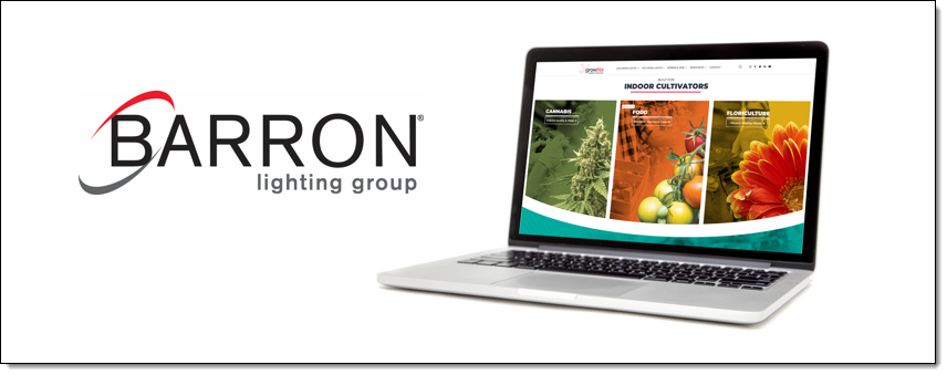 2020 08 barron growlite website.png