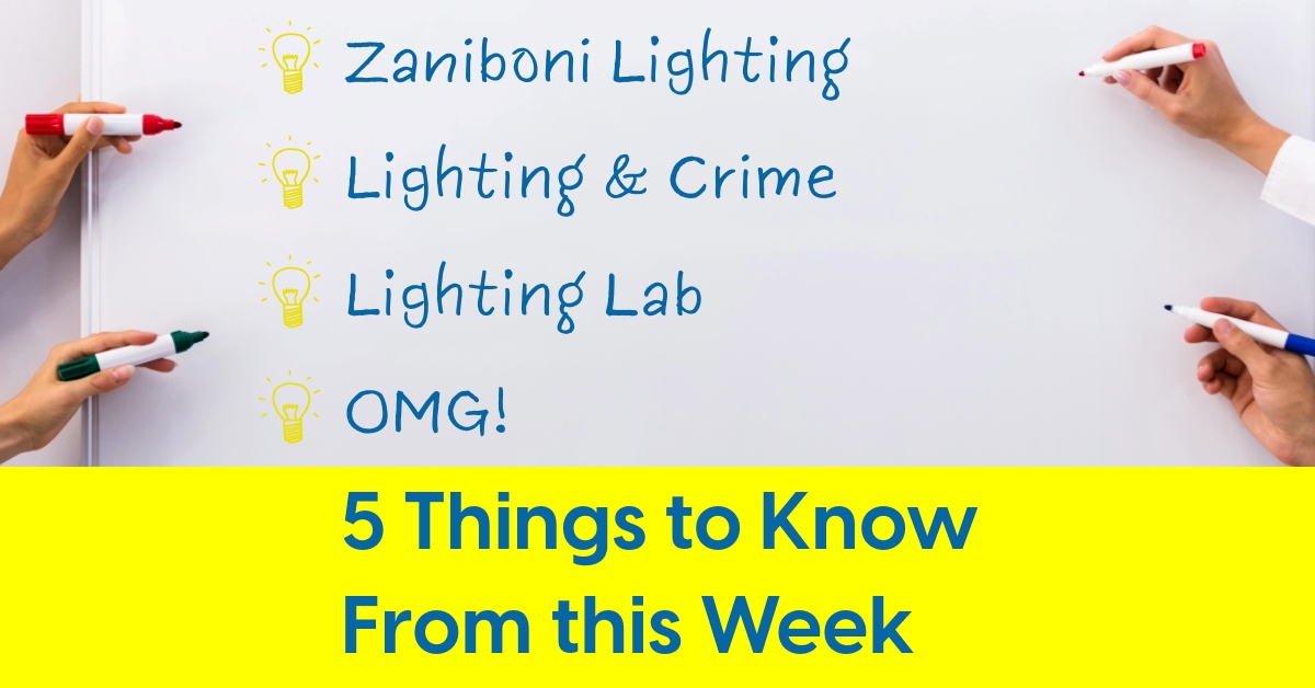 2024 09 Zaniboni Lighting IES SALC Nick Mesler boob lights.jpg