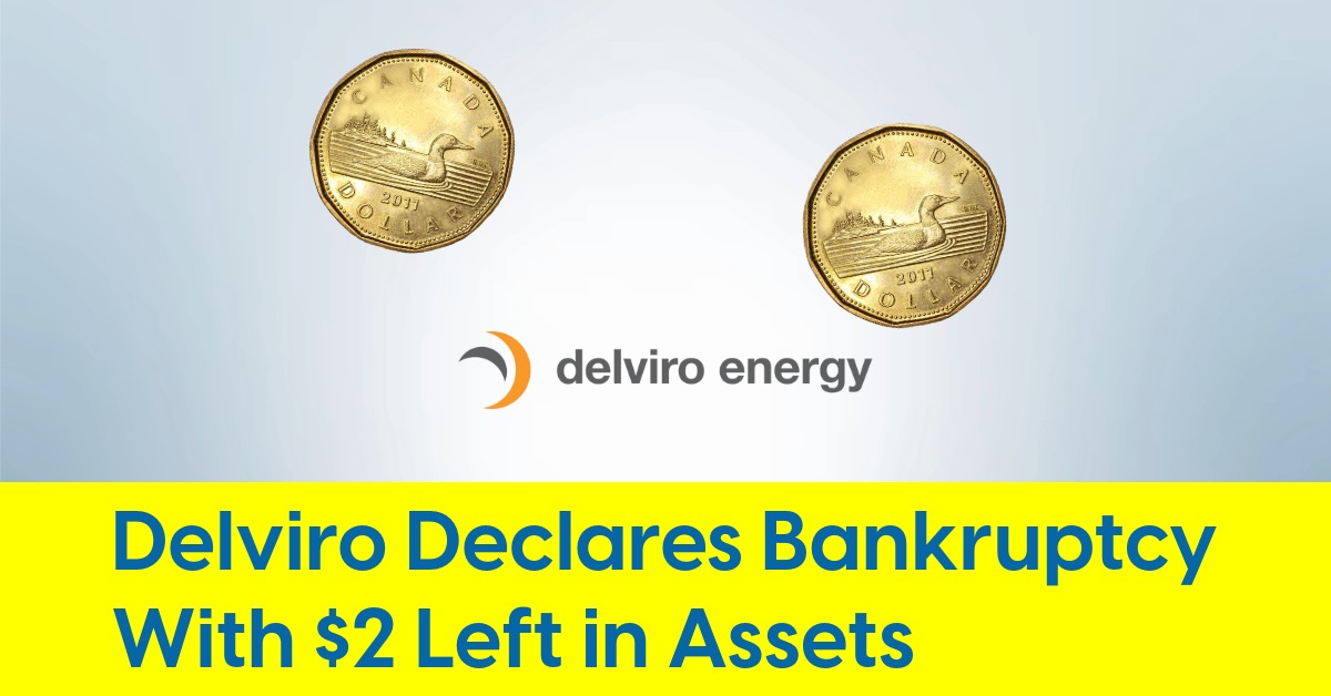 delviro energy bankrupt.jpeg