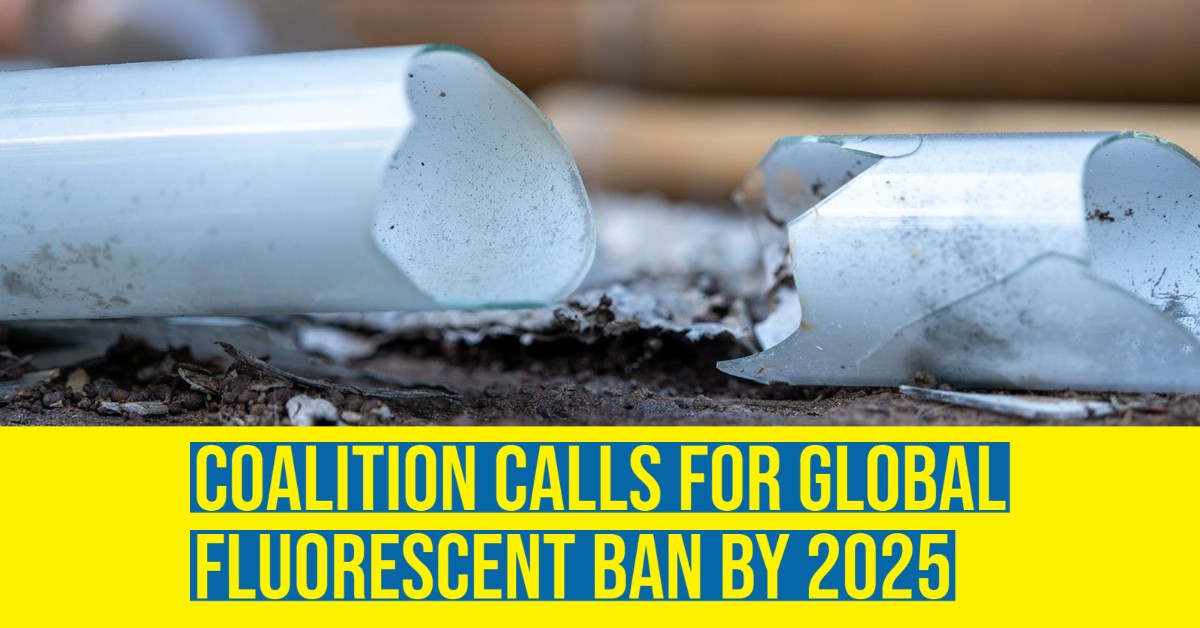 2021 10 fluorescent ban 2025 clean lights.jpg